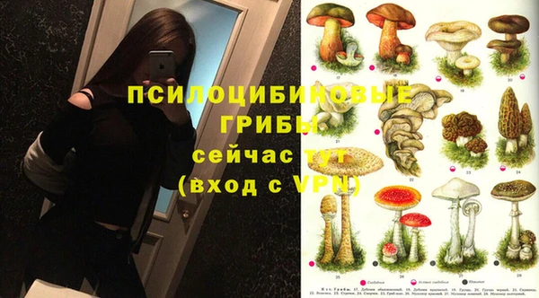 каннабис Абаза
