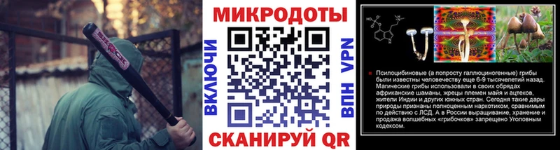 ссылка на мегу ONION  наркотики  Вилюйск  Псилоцибиновые грибы мицелий 